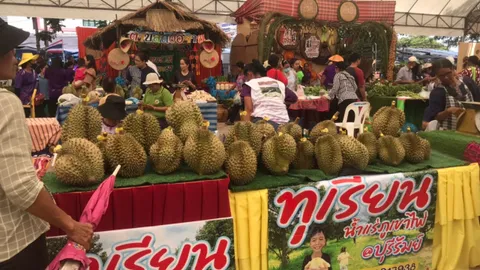 อ.โนนสุวรรณ จัดงานทุเรียนน้ำแร่ยิ่งใหญ่ หวังเป็นเมืองมีผลไม้ทุกชนิดแบบจันทบุรี
