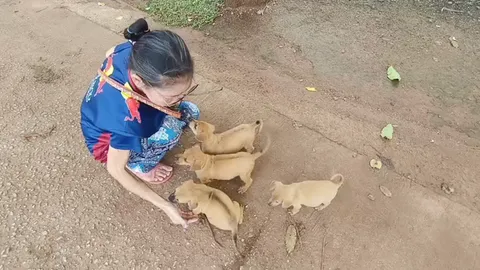 เจ้าของใจร้าย แอบนำ "ลูกสุนัข" มาปล่อยวัด ทำพระสงฆ์-ชาวบ้านเดือดร้อน