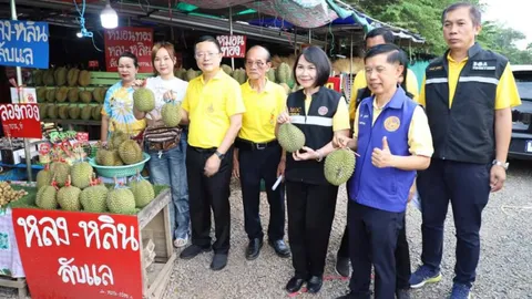 ผู้ว่าฯ อุตรดิตถ์ นำชุด ฉก.ตรวจร้านผลไม้ ตามแผนป้องปรามทุเรียนอ่อนด้อยคุณภาพ