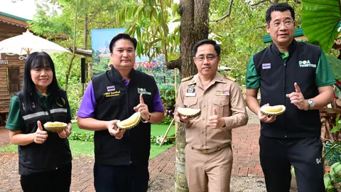 กรมวิชาการเกษตร คิกออฟวันถ่ายทอดเทคโนโลยีการผลิต และป้องกันหนอนเจาะเมล็ดทุเรียน