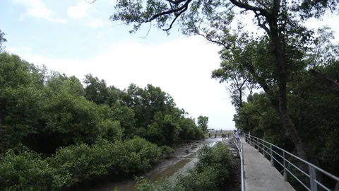 ครม. เห็นชอบศูนย์ศึกษาธรรมชาติกองทัพบก (บางปู) ขึ้นทะเบียนอุทยานมรดกแห่งอาเซียน