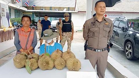 จับคาสวน หนุ่มลับแลลักทุเรียนชาวบ้าน ขายซื้อยาบ้าเสพ