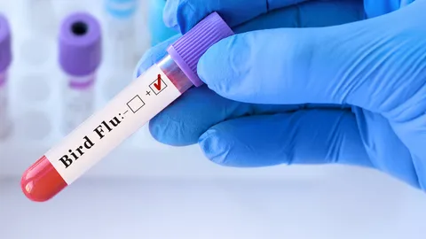 ไทยจับตายังไม่พบไข้หวัดนก