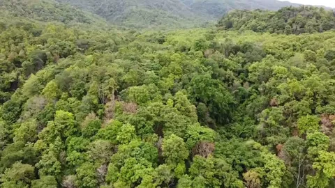 "พะเยา" พบถ้ำ "ยักษ์" บนดอยหมี ปากทางเข้ากว้าง 10 ม. คาดอายุกว่าพันปี (คลิป)