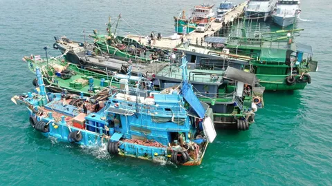 เกิดขึ้นได้อย่างไร