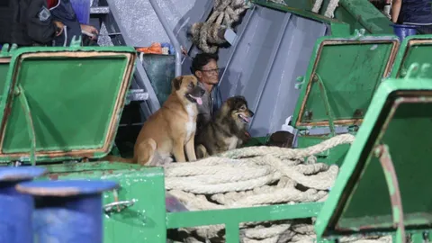 อ้างไม่รู้เรื่อง 8 ลูกเรือน้ำมันเถื่อน ใช้ชีวิตบนเรือกับหมา 