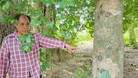 ญาติร้อง ตำรวจใช้กระสุนจริงยิงสยบหนุ่มคลั่ง เข้าคอนัดเดียวดับ (คลิป)