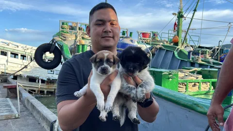 ตำรวจพา "ลูกหมา" บน "เรือน้ำมันเถื่อน" มาดูแลต่อ ก่อนเตรียมหาบ้านใหม่