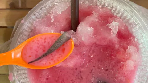 อ้วกแทบพุ่ง สาวกินน้ำแข็งไส แต่ดันเจอ "หางประหลาด" บอกแม่ค้าทำอึ้งกว่าเดิม