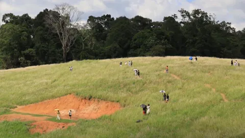 วิจารณ์สนั่น นักท่องเที่ยวเดินลง "โป่ง" เขาใหญ่ พากันถ่ายรูปไม่สนป้ายห้าม