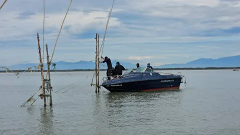 ประมง-ศรชล.ภาค 2 กวดขันประมงผิดกฎหมาย เปิดปฏิบัติการรื้อโพงพางกลางอ่าวปากพนัง 