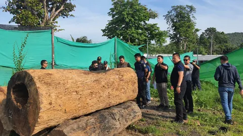 "ไม่ยอมเข็ดหลาบ" โรงงานไม้เถื่อน จนท.แกะรอย GPS บุกยึดของกลางเพียบ