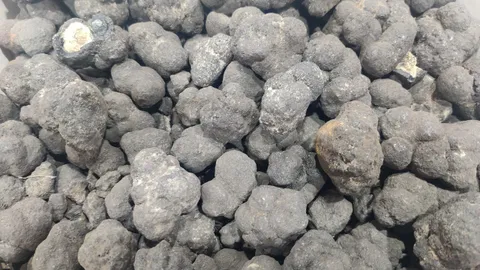 ญี่ปุ่นพบแหล่งแร่โลหะหายาก 200 ล้านตัน ที่ก้นทะเล นอกชายฝั่งตะวันออก