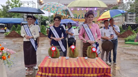 ประมูลทุเรียนภูเขาไฟ ในงานเทศกาลผลไม้และของดีกันทรลักษ์ 67 ไปสุดที่ 3 แสนกว่า