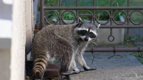 เกือบไปแล้ว