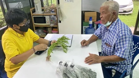 ชีวภัณฑ์รับมือโรคพืชหน้าฝน