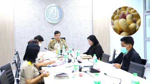 กรมหม่อนไหมรับรองพันธุ์ไหม "น่าน 72" ชูจุดเด่นเส้นเหลือง รังใหญ่ ให้ผลผลิตสูง