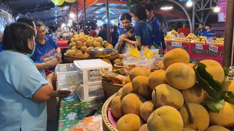 งานกระท้อนหวานและของดีเมืองลพบุรีครั้งที่ 31 เริ่มอย่างคึกคักปีนี้ขายดี ได้ราคา