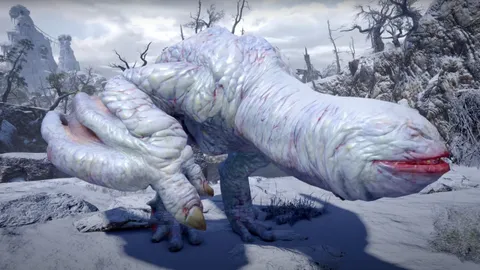 นักวิทยาศาสตร์ชาวจีน ตั้งชื่อแมงมุมสายพันธุ์ใหม่จากเกม Monster Hunter