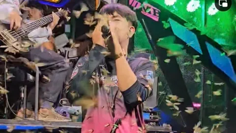 แมลงเม่าไม่เหงาใจ นับแสนตัวบินป่วนนักร้องบนเวที บอกร้องเสร็จอิ่มพอดี