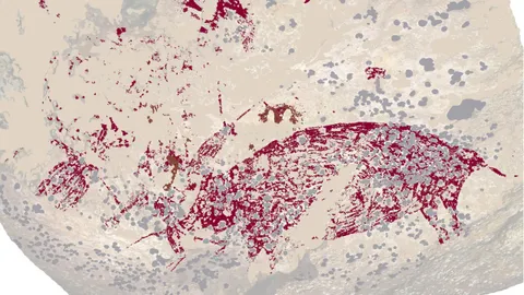 พบภาพเขียนมนุษย์และหมูป่าเก่าแก่ที่สุดในโลก บนผนังถ้ำอินโดนีเซีย