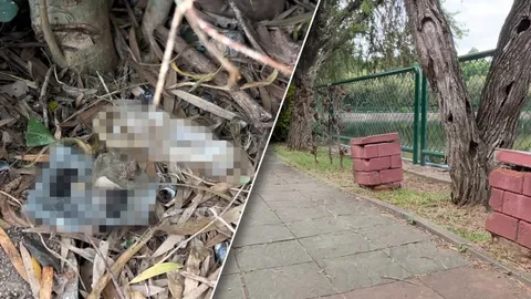 สุดทน วัยรุ่นพลอดรัก-จ้ำจี้โจ๋งครึ่ม พบถุงยางเกลื่อน-บางวันทิ้งกางเกงใน