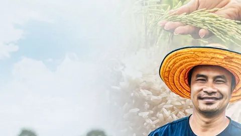 เรื่องวุ่นๆ ของโครงการปุ๋ยคนละครึ่ง กับโครงการแจกเงินไร่ละ 1,000 บาท