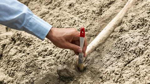 วิจัยซากกระดูกในถ้ำบนที่ราบสูงทิเบต