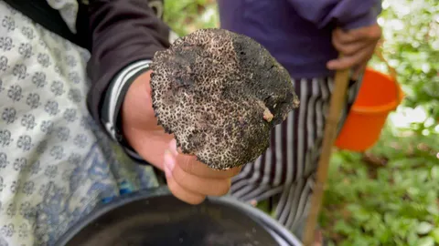 สุดเศร้า เผาแม่ได้ 5 วัน ลูกชายตายตาม เซ่นเห็ดพิษ 2 ศพ