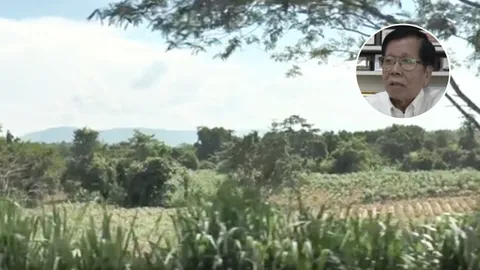 "คิดให้ดี" นักวิชาการเตือน รบ. ระวังตกม้าตาย เฉือนป่าทับลาน 2.6 แสนไร่