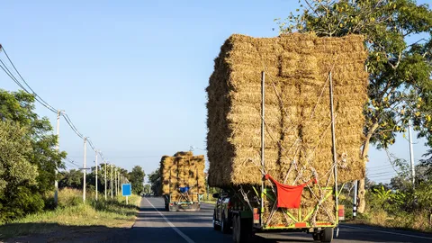 ชาวบ้านหวั่นอันตราย รถบรรทุกขนฟาง ดัดแปลงตัวถังบรรทุกสูงเกินเต็มช่องจราจร