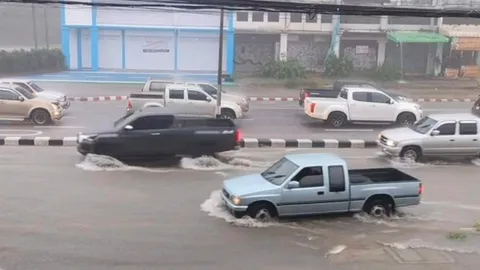 พายุฝนถล่มเมืองโคราช ต้นไม้ล้มขวางทาง น้ำท่วมถนน