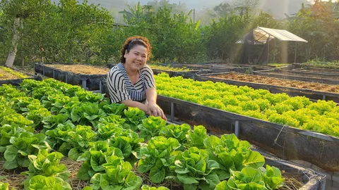 หมูอ้วนชวนทำเกษตร 100 บาทพลิกชีวิต จากลูกจ้างสู่สวนผักสลัด รายได้ปัง