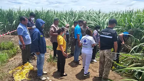 พบศพในไร่อ้อยที่จังหวัดนครสวรรค์ สภาพถูกตัดมือทิ้งทั้ง 2 ข้าง