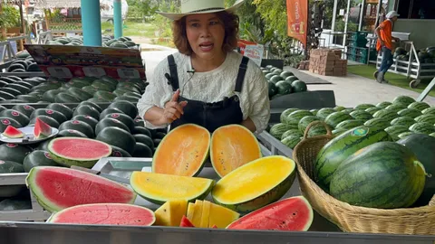 "ณิชชา ชามม์" ฟาร์มแตงโมมีฝัน ดัน 4 สายพันธุ์หายาก พาผลไม้ไทยยกระดับสู่ตลาดโลก