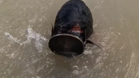 หลอน นักล่าสมบัติใต้น้ำ งมเจอหัวกะโหลกสีดำ คาดอายุเก่าแก่กว่าร้อยปี