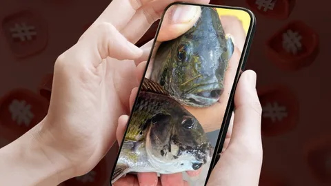 เมื่อปลาหมอคางดำ แพร่กระจายในโลกโซเชียลไทย 