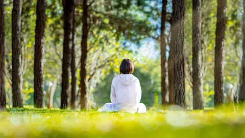 เชื่อมจิตนอกจิตใน