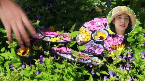 กราฟิกดีไซเนอร์สาวผันตัว ปลูกดอกไม้กินได้ส่งตามคาเฟ่ ชูรายได้งาม โอกาสสดใส