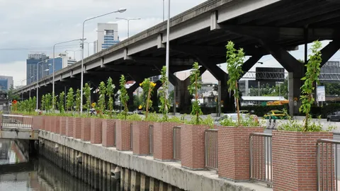 พัฒนาคูน้ำริมวิภาฯ คืบ 85% เสร็จ ต.ค.นี้-รับน้ำฝนเพิ่ม 100 มล.จากเดิม 60