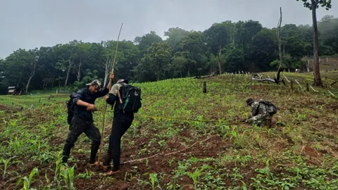 พบ ส.อบจ.แม่ฮ่องสอน รุกป่าสงวนฯ ปลูกข้าวโพด แหล่งข่าวเผยยังมีเกือบ 100 ราย