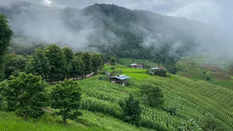 เที่ยวหน้าฝนขึ้นดอยสัมผัสสายหมอก กับวิวนาขั้นบันไดสวยที่สุด ที่บ้านป่าบงเปียง 