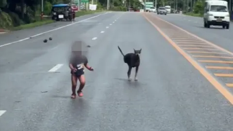 แม่แจงแล้ว คลิปเด็ก 2 ขวบ วิ่งออกไปกลางถนน สัญญาต่อไปจะระวังมากขึ้น