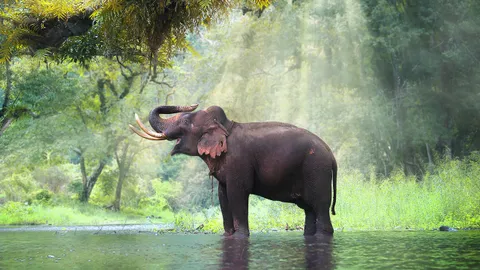 กลบทช้างชูงวง