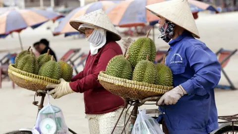 รมว.เกษตรเวียดนามเผย เตรียมผลักดันสร้างแบรนด์ให้ทุเรียนเป็นผลิตภัณฑ์ประจำชาติ