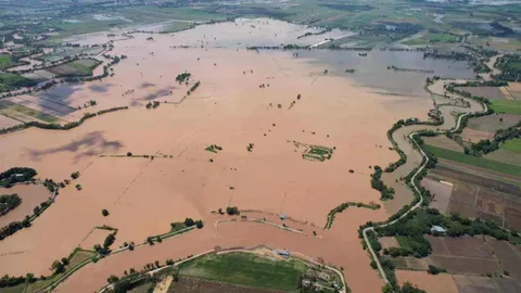 เปิดน้ำเข้าทุ่งบางระกำโมเดลแล้ว 50 ล้าน ลบ.ม. พร้อมรองรับน้ำเหนือ