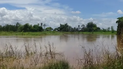 ระดับน้ำในแม่น้ำยม ช่วงผ่าน จ.พิษณุโลก พีคสุดวันนี้ เร่งผันน้ำ