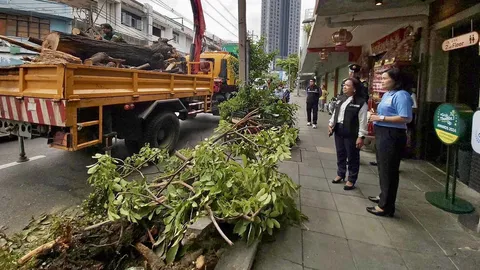 ล้อมคอกไม้ล้มฟู้ดสตรีทดัง ปทุมวันสแกนต้นไม้ริม “บรรทัดทอง” กันซ้ำรอย