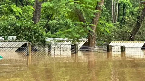 ศูนย์ฯ แม่แตง ขอความช่วยเหลือรถย้าย "ม้าตาบอด-ม้าแก่"  23 ตัว ออกนอกพื้นที่