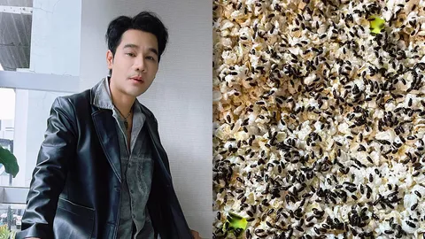 กอล์ฟ เบญจพล เผยเลขน้องกระดิ่ง งวด 1 พ.ย. 67 เห็นเลข 2 ตัวแบบชัดเจน